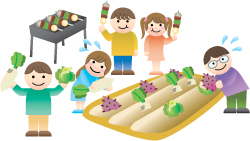 収穫時は、新鮮野菜が満載です。