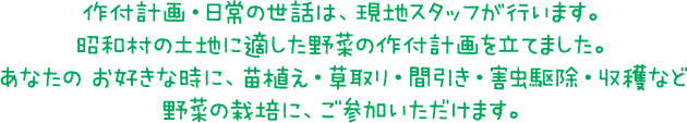 作付計画・日常の世話は、現地スタッフが行います。昭和村の土地に適した野菜の作付計画を立てました。あなたの お好きな時に、苗植え・草取り・間引き・害虫駆除・収穫など野菜の栽培に、ご参加いただけます。