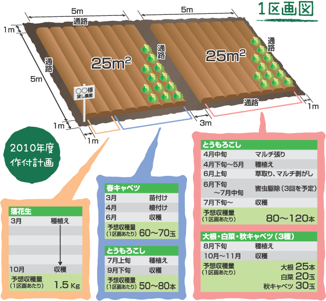 2010年度作付計画