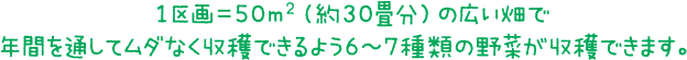 1区画＝50m2（約30畳分）の広い畑で年間を通してムダなく収穫できるよう6～7種類の野菜が収穫できます。