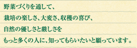野菜づくりを通して、栽培の楽しさ、大変さ、収穫の喜び、自然の優しさと厳しさをもっと多くの人に、知ってもらいたいと願っています。