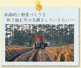 本格的に野菜づくりを取り組む方の支援をしていきたい・・・