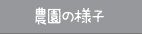 農園の様子