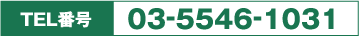 TEL番号 03-5546-1031
