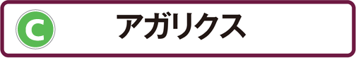 C：アガリクス