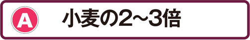 A：小麦の2～3倍