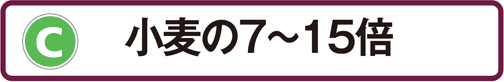 C：小麦の7～15倍