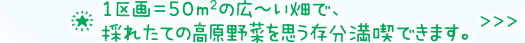1区画＝50m2の広～い畑で、採れたての高原野菜を思う存分満喫できます。